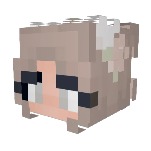 12kxqtt Minecraft avatar head, 3D render