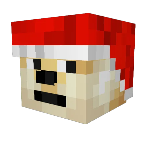 12polarbear12 Minecraft avatar head, 3D render