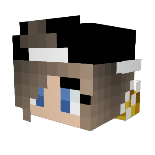 12starfire Minecraft avatar head, 3D render