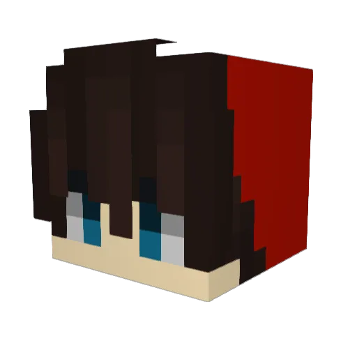 13013gabriel Minecraft avatar head, 3D render