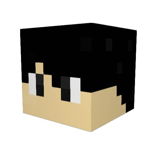 13117532 Minecraft avatar head, 3D render