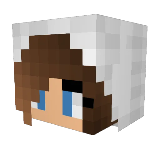 1323pink Minecraft avatar head, 3D render