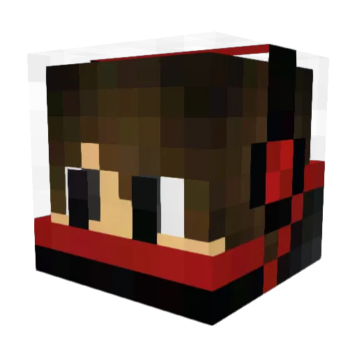 1337BlackHawk Minecraft avatar head, 3D render
