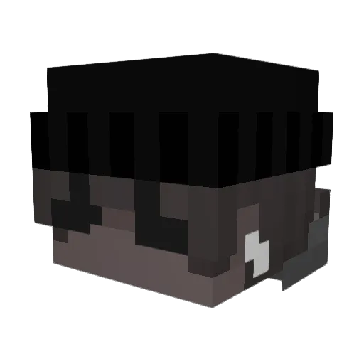 1337zyx Minecraft avatar head, 3D render