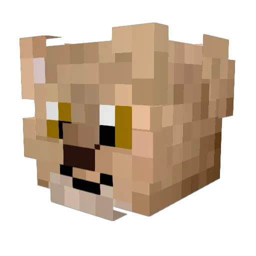 13Heathens Minecraft avatar head, 3D render