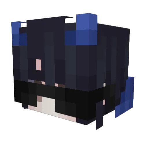 13RoJest37 Minecraft avatar head, 3D render