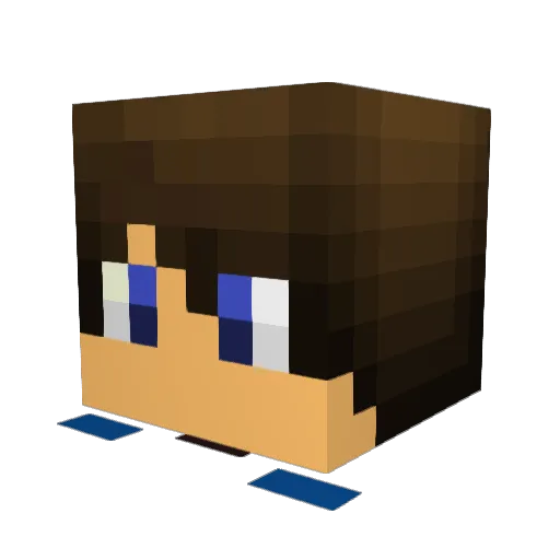 13_Meister Minecraft avatar head, 3D render