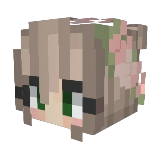 13_ZeMo_37 Minecraft avatar head, 3D render