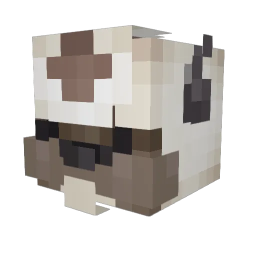 13appa Minecraft avatar head, 3D render