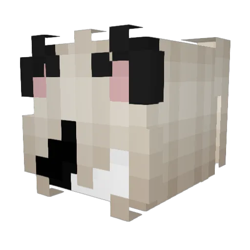 13thh Minecraft avatar head, 3D render
