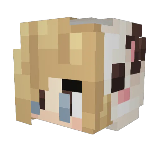 13unnii Minecraft avatar head, 3D render