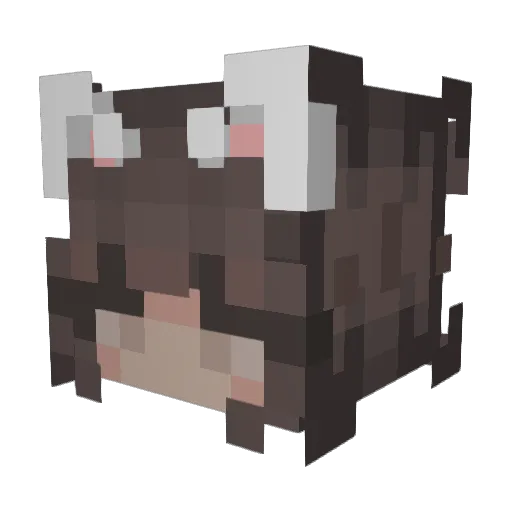 13year Minecraft avatar head, 3D render