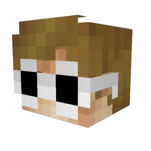 144FPS_ Minecraft avatar head, 3D render