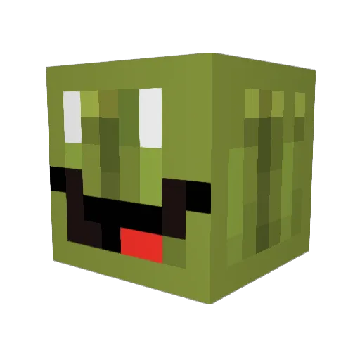 144P20HZ Minecraft avatar head, 3D render