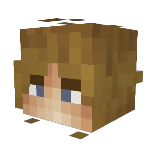 1460Pablo Minecraft avatar head, 3D render