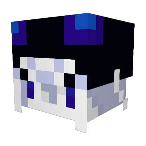 14Hz Minecraft avatar head, 3D render