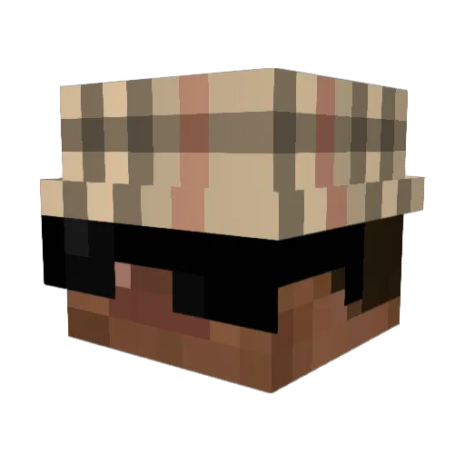 14Im Minecraft avatar head, 3D render