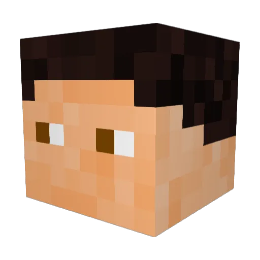 14Kaito Minecraft avatar head, 3D render