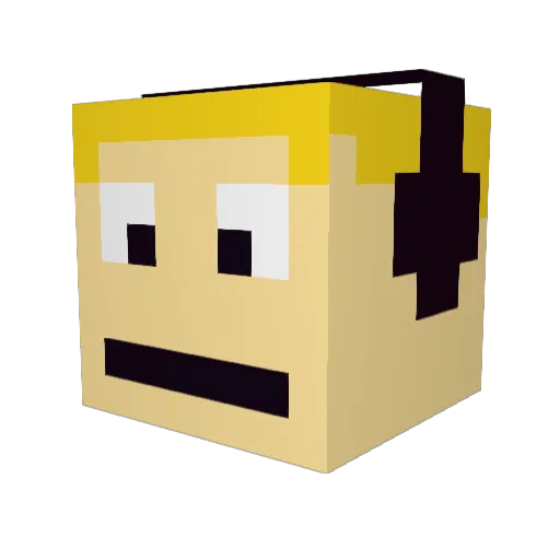 14Simp3 Minecraft avatar head, 3D render