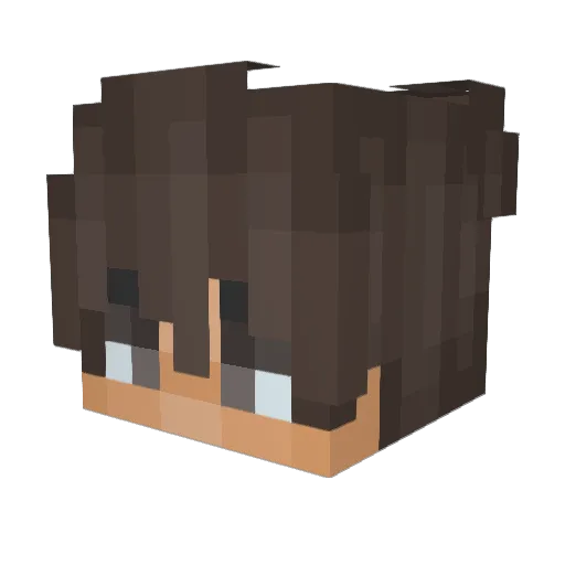14Tobias88 Minecraft avatar head, 3D render