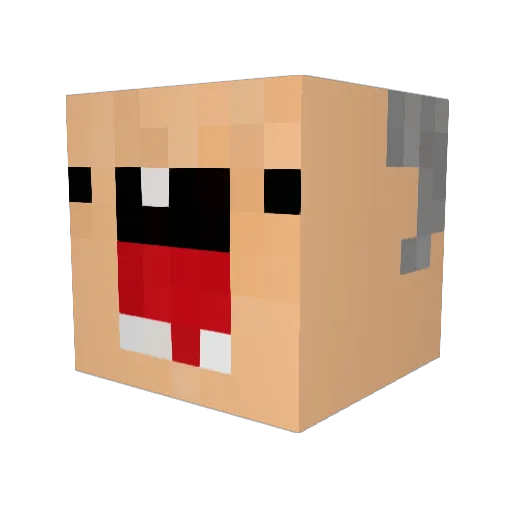 14_mota Minecraft avatar head, 3D render