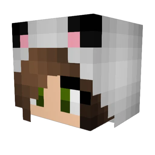 14enn Minecraft avatar head, 3D render