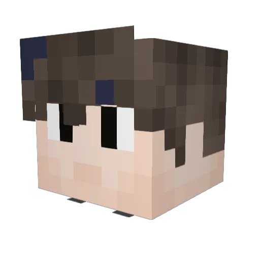 14martim Minecraft avatar head, 3D render