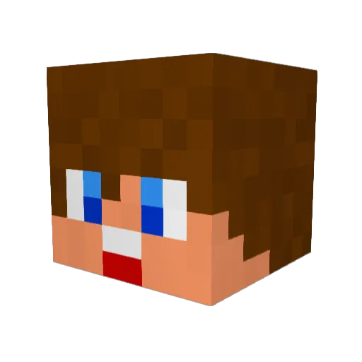 14sonic5 Minecraft avatar head, 3D render