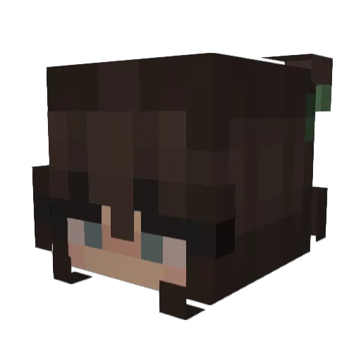 14tabs Minecraft avatar head, 3D render