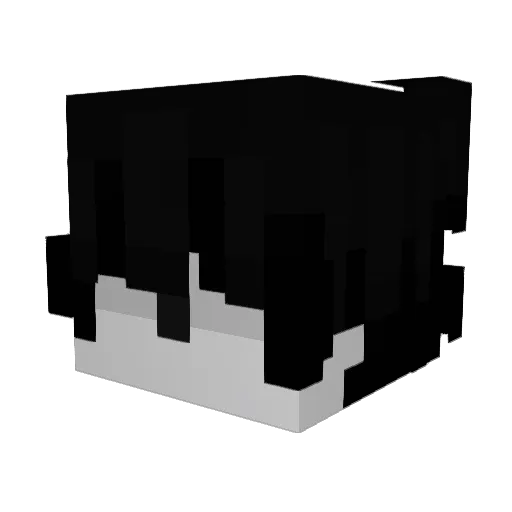 152_shadow_3jw Minecraft avatar head, 3D render