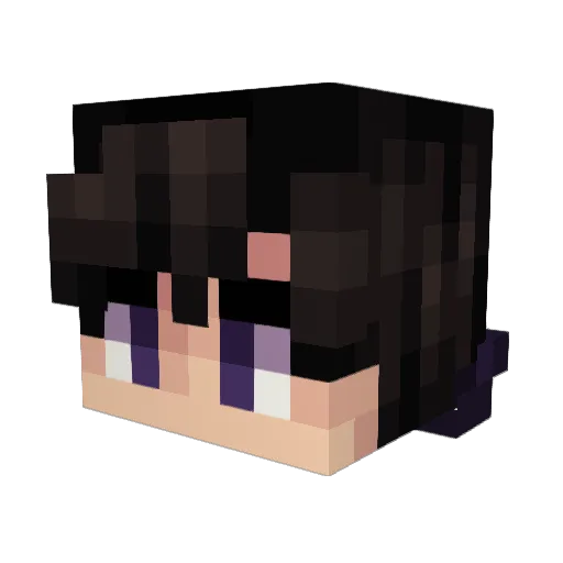 1606Louis Minecraft avatar head, 3D render