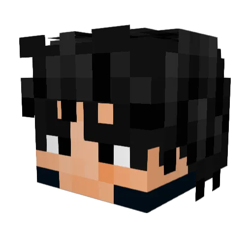160MS_ Minecraft avatar head, 3D render