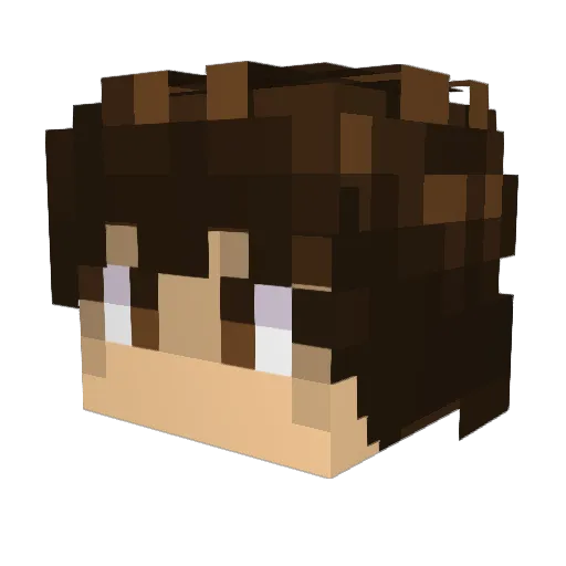 1665670 Minecraft avatar head, 3D render
