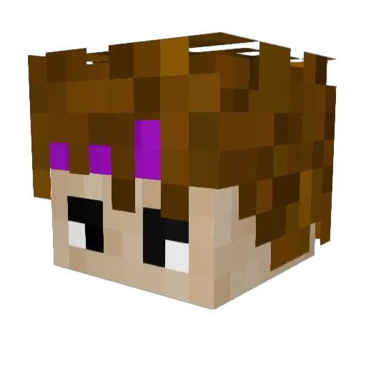 16812oY Minecraft avatar head, 3D render