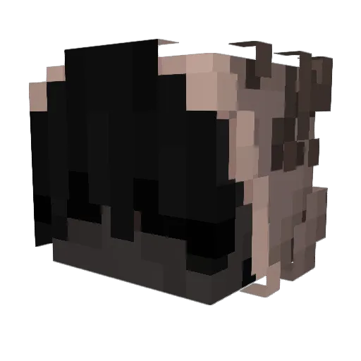16EhreSheesh Minecraft avatar head, 3D render