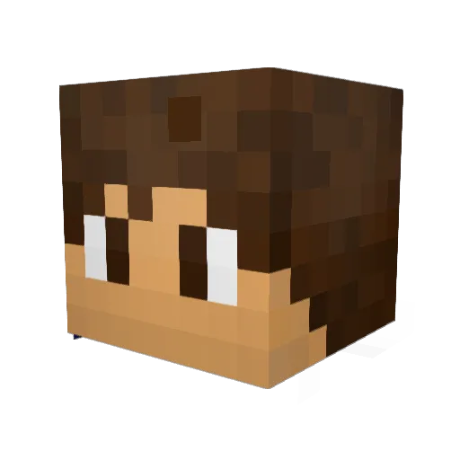 16lb Minecraft avatar head, 3D render