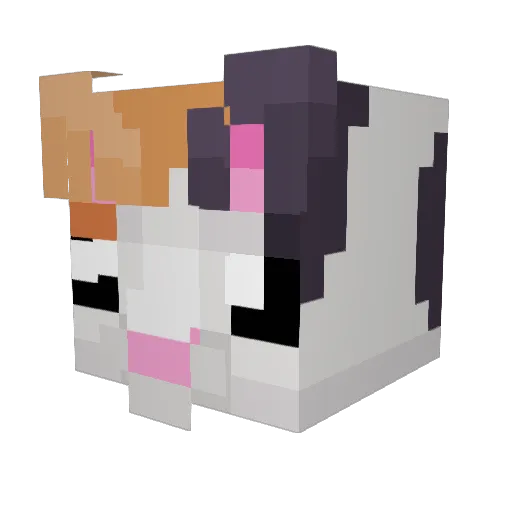16stalwarts Minecraft avatar head, 3D render