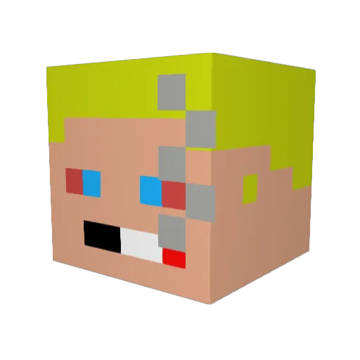 171198simas Minecraft avatar head, 3D render
