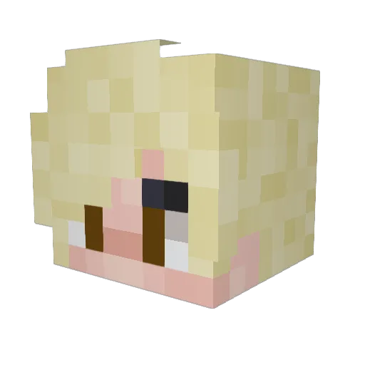 1770749 Minecraft avatar head, 3D render