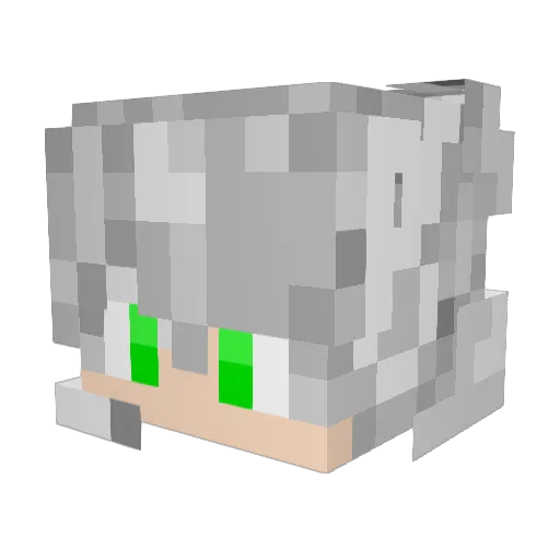 177777 Minecraft avatar head, 3D render