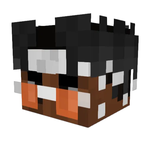 1798777147 Minecraft avatar head, 3D render