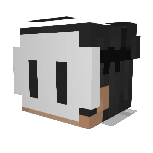 17ARONN Minecraft avatar head, 3D render