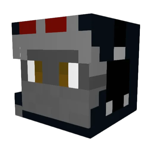 17Jayden Minecraft avatar head, 3D render