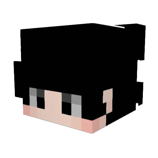 17n1jx Minecraft avatar head, 3D render