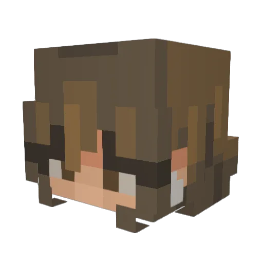 17nanayakkaradb2 Minecraft avatar head, 3D render