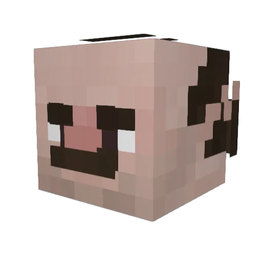 17zl Minecraft avatar head, 3D render