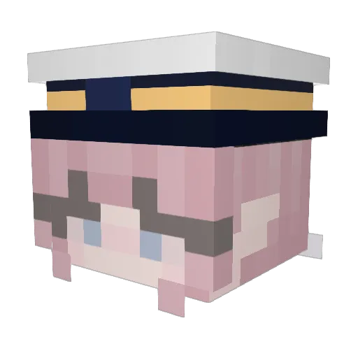 185907137 Minecraft avatar head, 3D render