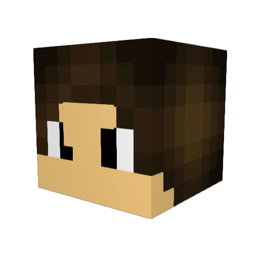 1929dude Minecraft avatar head, 3D render