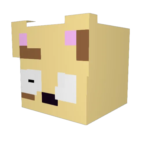 1945_AnneFrank Minecraft avatar head, 3D render