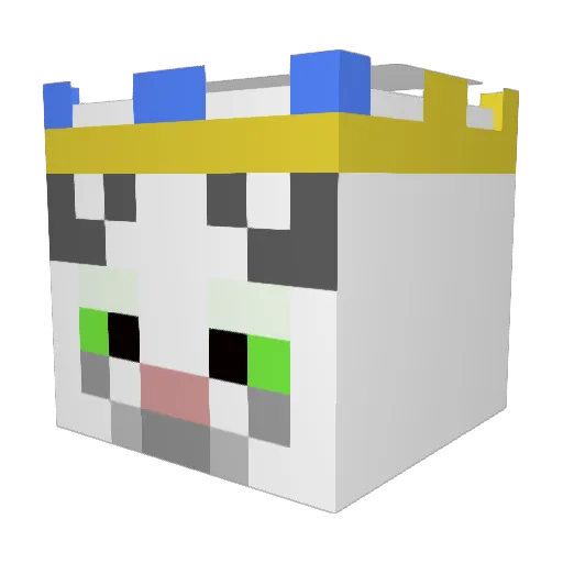 1953barb Minecraft avatar head, 3D render